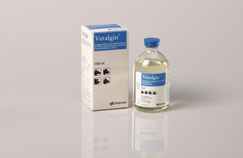 Specialisere stereoanlæg Desværre Vetalgin® 500 mg/ml - MSD Tiergesundheit Österreich