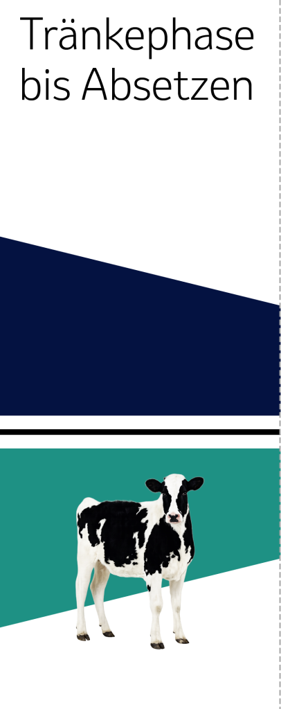 Grafik Tr&auml;nkephase bis Absetzen